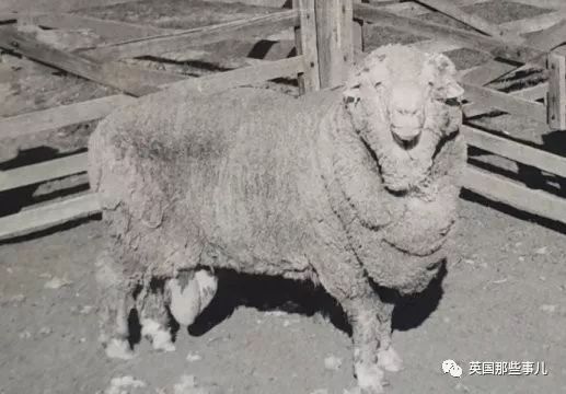冷冻50年的精子解冻后竟然还能成功授孕，一连生了三十多个崽！