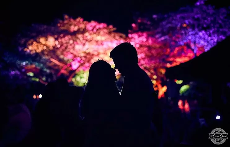 满城樱花怒放 温哥华已美成仙境! 2019年赏樱最全攻略 连月亮都染粉了!