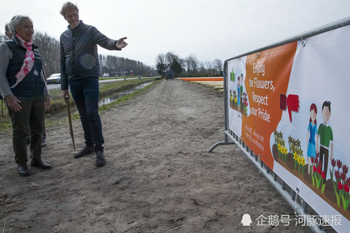荷兰郁金香花农设“别践踏”中文警示，提示中国游客遵守规矩