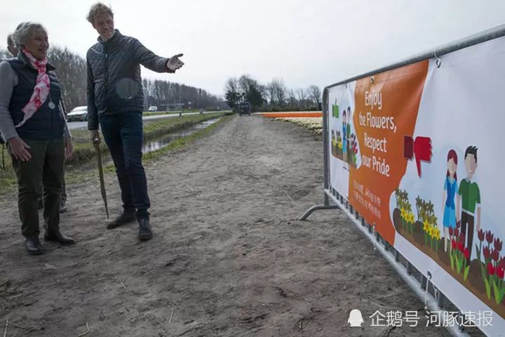 荷兰郁金香花农设“别践踏”中文警示，提示中国游客遵守规矩