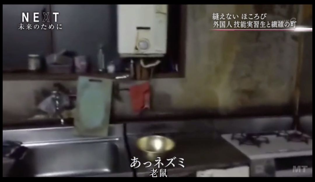 劳工移民：低生育率国家的最后底牌｜大象公会