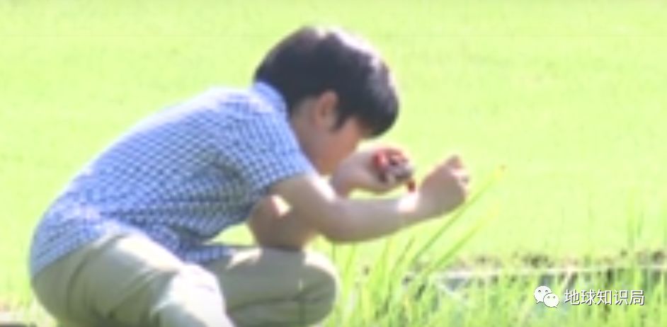 天皇对日本意味着什么？