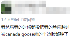 救命! 加国人快被加拿大鹅打残了! 招招致命 惨不忍睹 快记住这几条保命