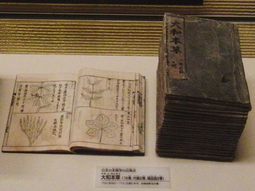 日本的梅樱斗宠史，背后是中日文化之争丨大家