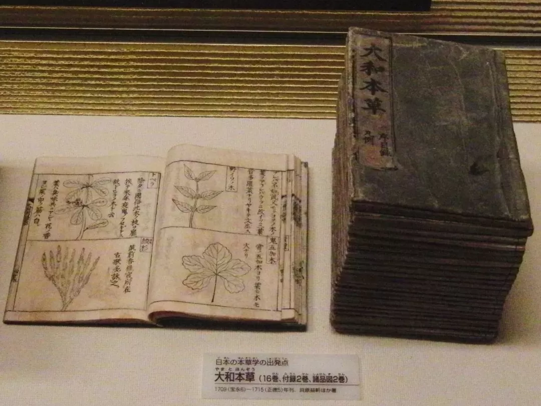 日本的梅樱斗宠史，背后是中日文化之争丨大家