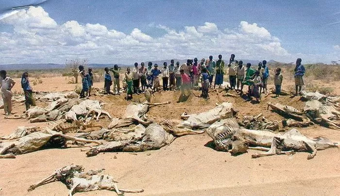 5000年来中国的苦难，在西非都能找到 ——马里大屠杀背后的社会-地理矛盾。
