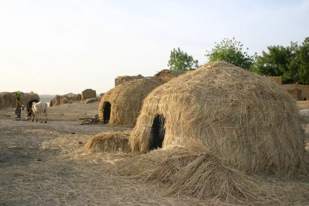 5000年来中国的苦难，在西非都能找到 ——马里大屠杀背后的社会-地理矛盾。