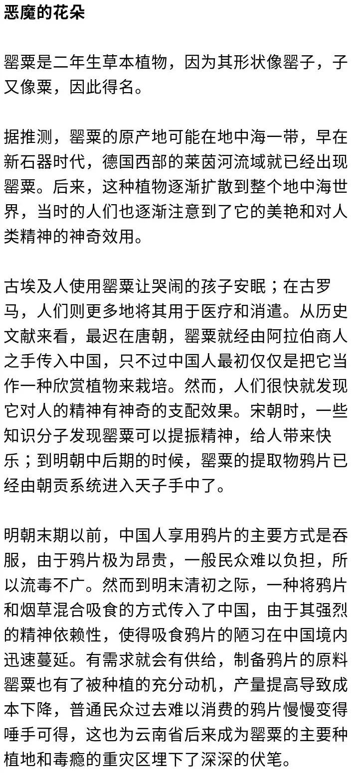 河森堡：“毒入骨髓”——被罂粟吞噬的清王朝