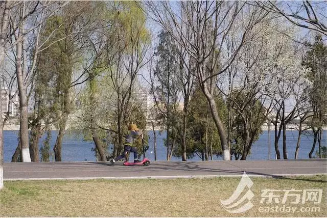 误入少女感十足的童话世界？没想到你是这样的平壤