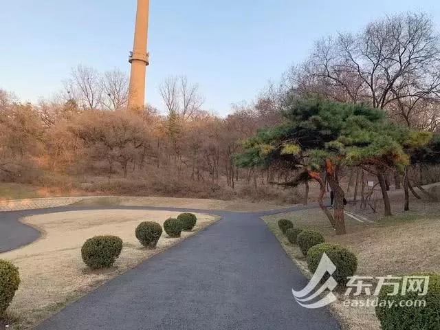 误入少女感十足的童话世界？没想到你是这样的平壤