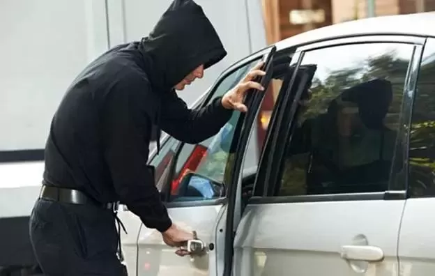 惊! 小偷10秒撬进大温公寓车库 一栋楼的车惨遭爆窃 华人美女大鹅被穿走