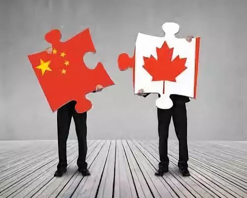 【分析】中加两国经贸投资 真的受阻于孟晚舟案吗？一组数据告诉你