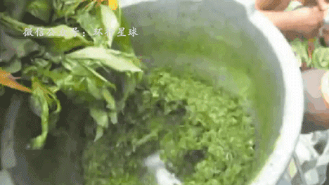 非洲黑暗料理大汇总