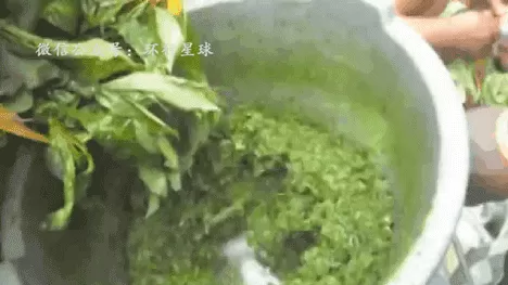 非洲黑暗料理大汇总