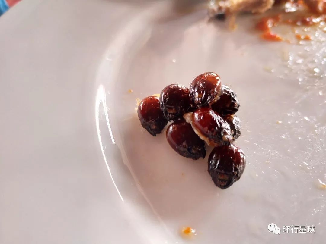 非洲黑暗料理大汇总
