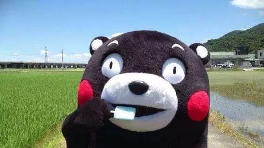 高速公路惊现熊!最近出门小心,加拿大的动物开始苏醒了...
