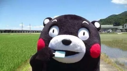 高速公路惊现熊！最近出门小心，加拿大的动物开始苏醒了...