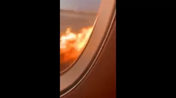 俄航事故中现“英雄空姐”：揪住乘客衣领，把他们推下飞机