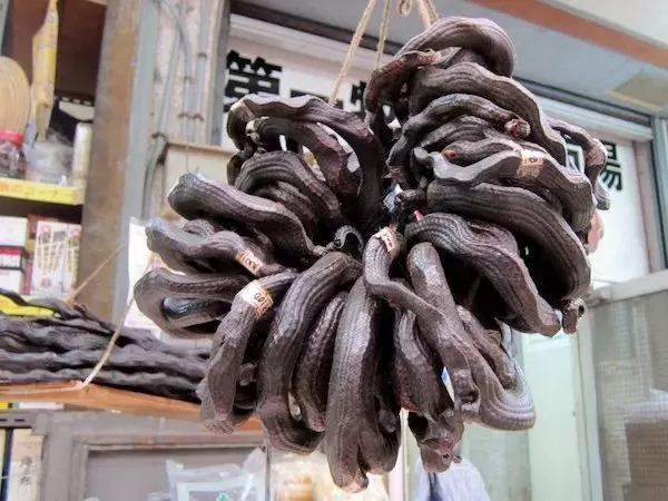 目瞪狗呆，冲绳人居然吃这些？！