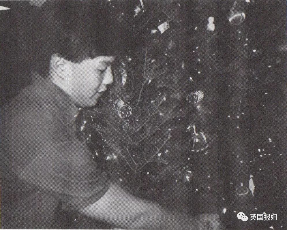 学霸弟弟杀人被判100年，这一切竟是亲姐姐的圈套...