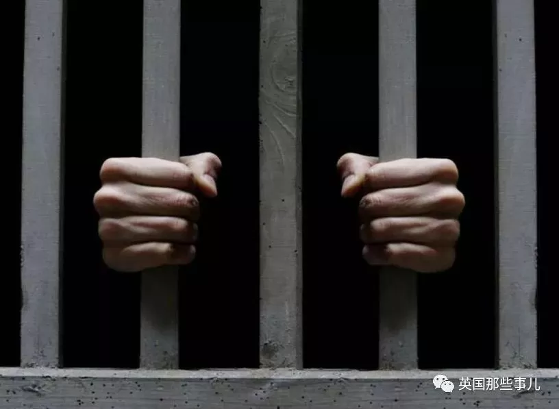 少女请网友投票决定自己生死，网友的选择，太寒心....