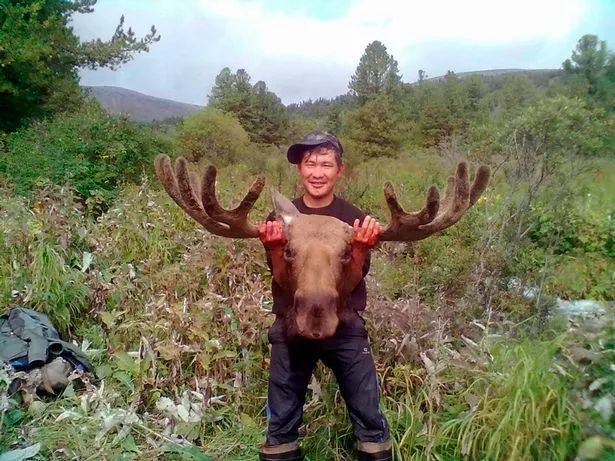 惨烈! 35岁小伙遭千斤巨熊撕咬 血战中一口咬掉熊舌头! 结果震惊所有人...