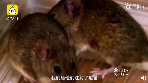 振奋人心! 老年痴呆症疫苗研制成功 5000万家庭有救了!