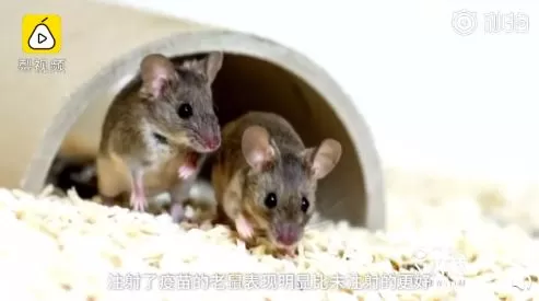 振奋人心! 老年痴呆症疫苗研制成功 5000万家庭有救了!