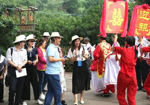 全国乡村文化和旅游能人支持项目现场会在眉山召开