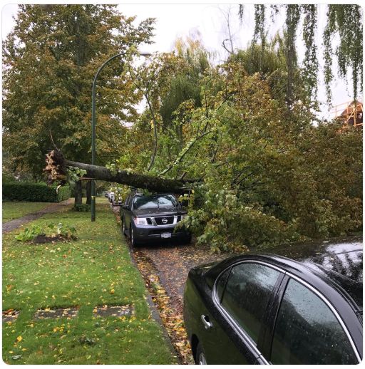 全城大乱 大温晴天暴风肆虐! 6300户停电 树木倒塌封路 雷雨暴雪还在路上!