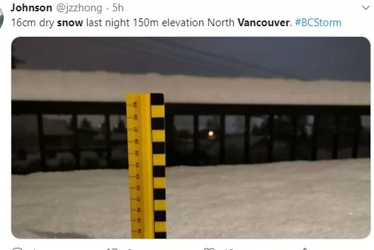 -40℃! 环境部发38个红色预警 暴雪砸城 温哥华秒变车祸现场! 全乱套了