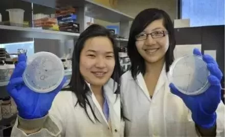 加拿大最牛华裔移民二代! 没腰没臀20岁身价5000万 惊动比尔盖茨