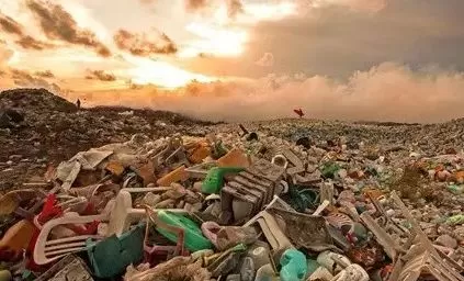 加拿大最牛华裔移民二代! 没腰没臀20岁身价5000万 惊动比尔盖茨