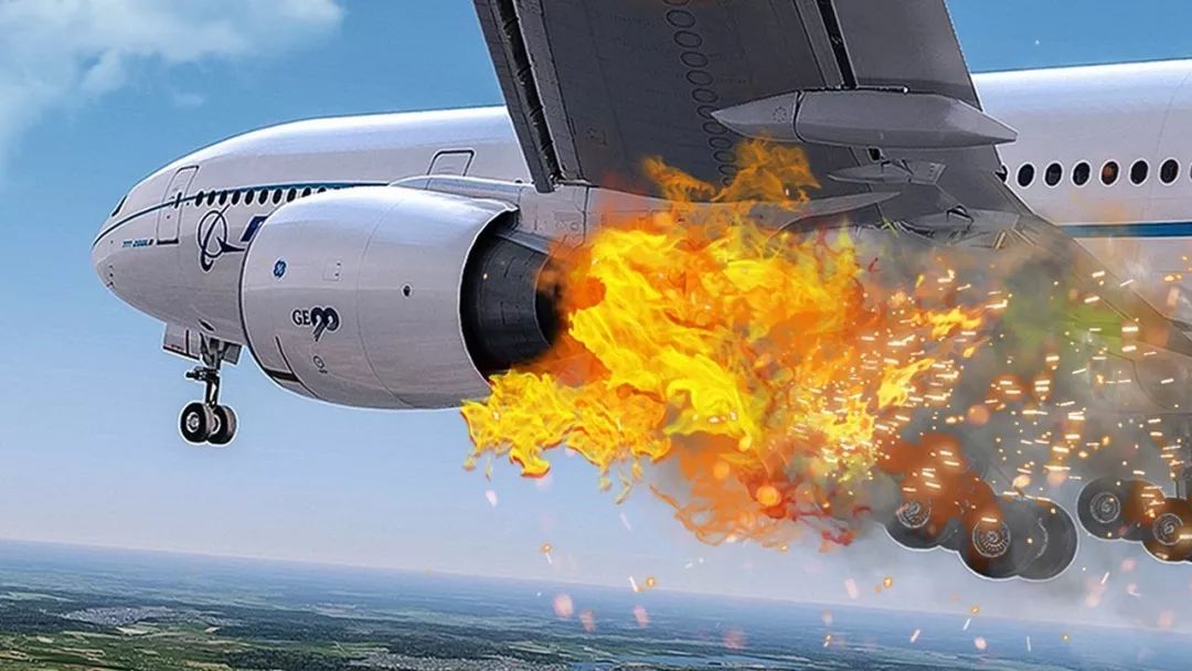 突发! 加拿大鹅撞飞机 客机迫降温哥华 机头开裂 引擎爆炸 乘客以为必死无疑!