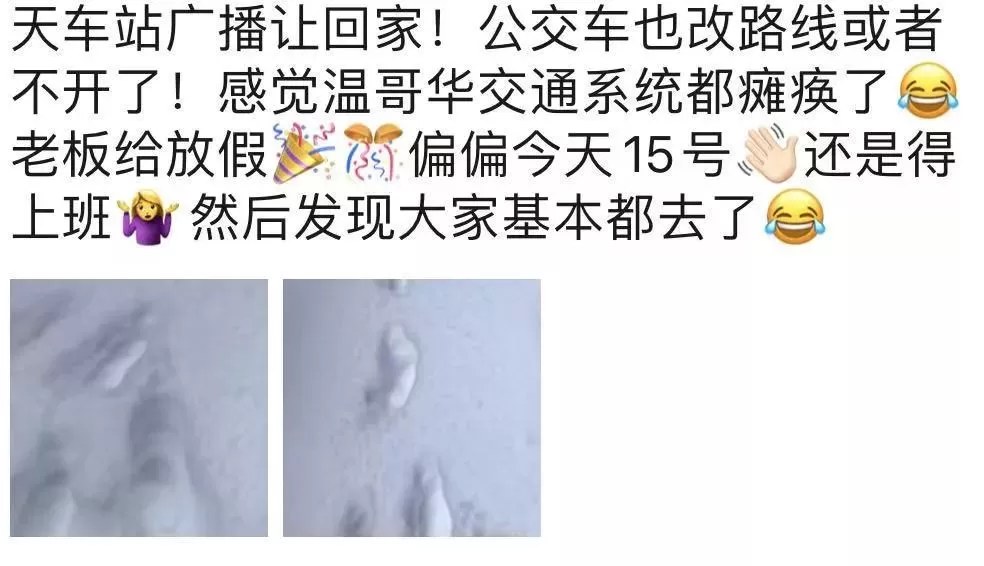 恐怖雪灾! 温哥华已废! 车祸满城 全面瘫痪! 政府跪求民众别出门了!