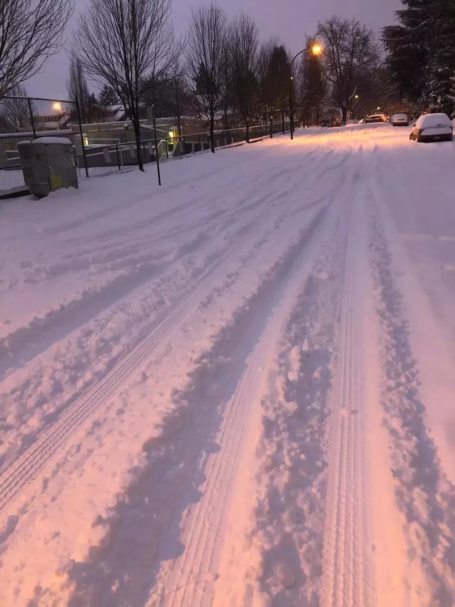 恐怖雪灾! 温哥华已废! 车祸满城 全面瘫痪! 政府跪求民众别出门了!