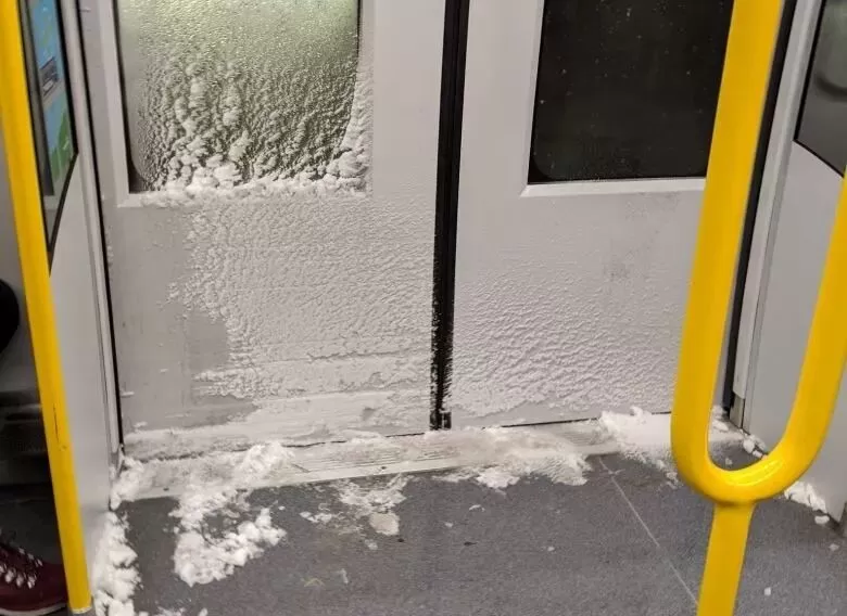 恐怖雪灾! 温哥华已废! 车祸满城 全面瘫痪! 政府跪求民众别出门了!