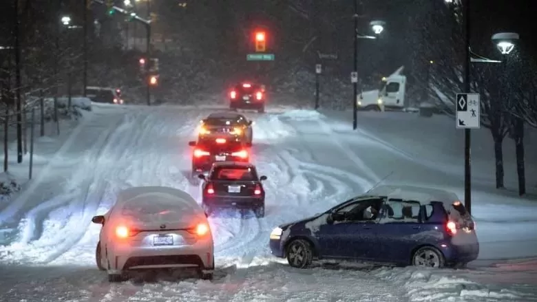 恐怖雪灾! 温哥华已废! 车祸满城 全面瘫痪! 政府跪求民众别出门了!