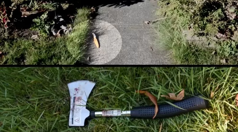 残忍! 大温华人小伙随机连杀两人 刀捅斧砍 自称以为在打电脑游戏