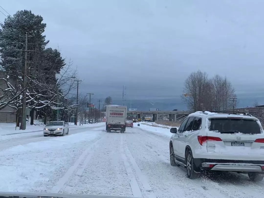 预警! 暴雨淹了大温 这周末又要下雪! 气温回落零下 你准备好了吗?