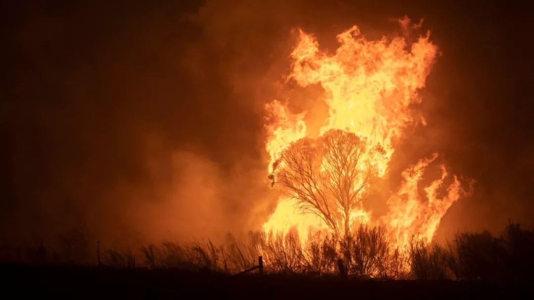 口罩告急！大火逼近澳洲首都 45度高温地狱般炙烤 灾难仍在继续