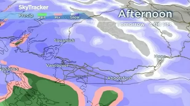 预警! 20cm暴雪席卷温哥华! 温村又要瘫了!