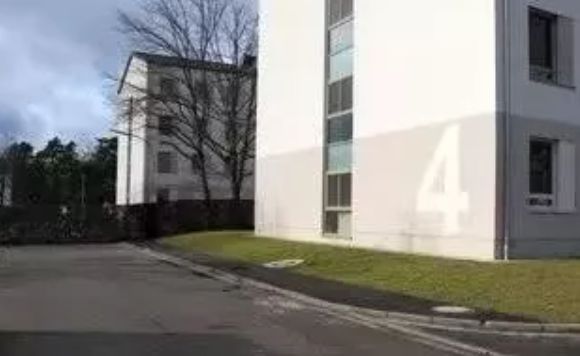 ​撤侨记: 有的像坐牢 有的跪求别撤了看到法国… 网友们全不淡定了!