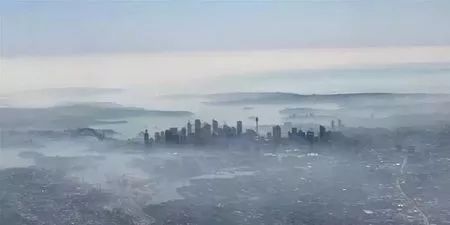 60多万蝙蝠入侵城市 遮天蔽日仿佛末日! 人类的报应来了？