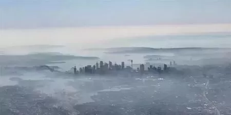 60多万蝙蝠入侵城市 遮天蔽日仿佛末日! 人类的报应来了？