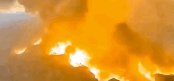 惊人! 澳洲大火熊熊燃烧210天后 人们竟然看到了这样一幕