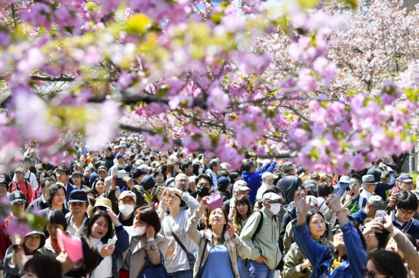 日本告急 感染激增! 安倍也有隔离风险? 全球担忧日本变成下个武汉