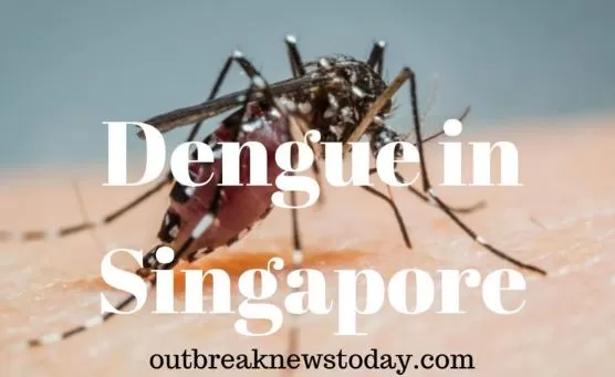 惊! 旅游胜地爆发致死疫情 9万人感染 总统确诊 却还有华人组团去！