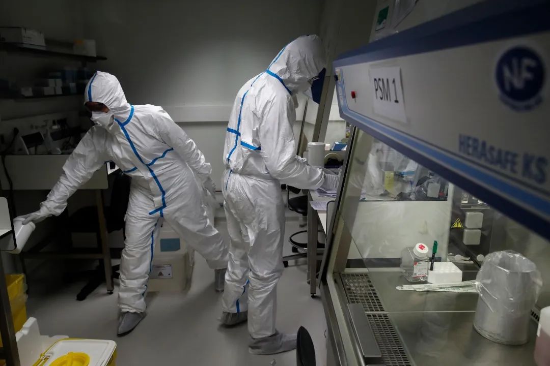 紧急! 南美防线被攻破 全球6大洲失守! 医院放跑1个毒王 几天后全国沦陷!