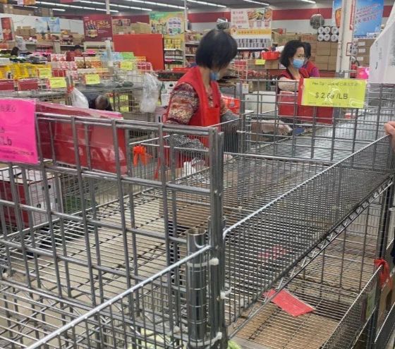 告急! 一夜之间 病毒传遍全世界! 但更令人恐慌的 是这个！